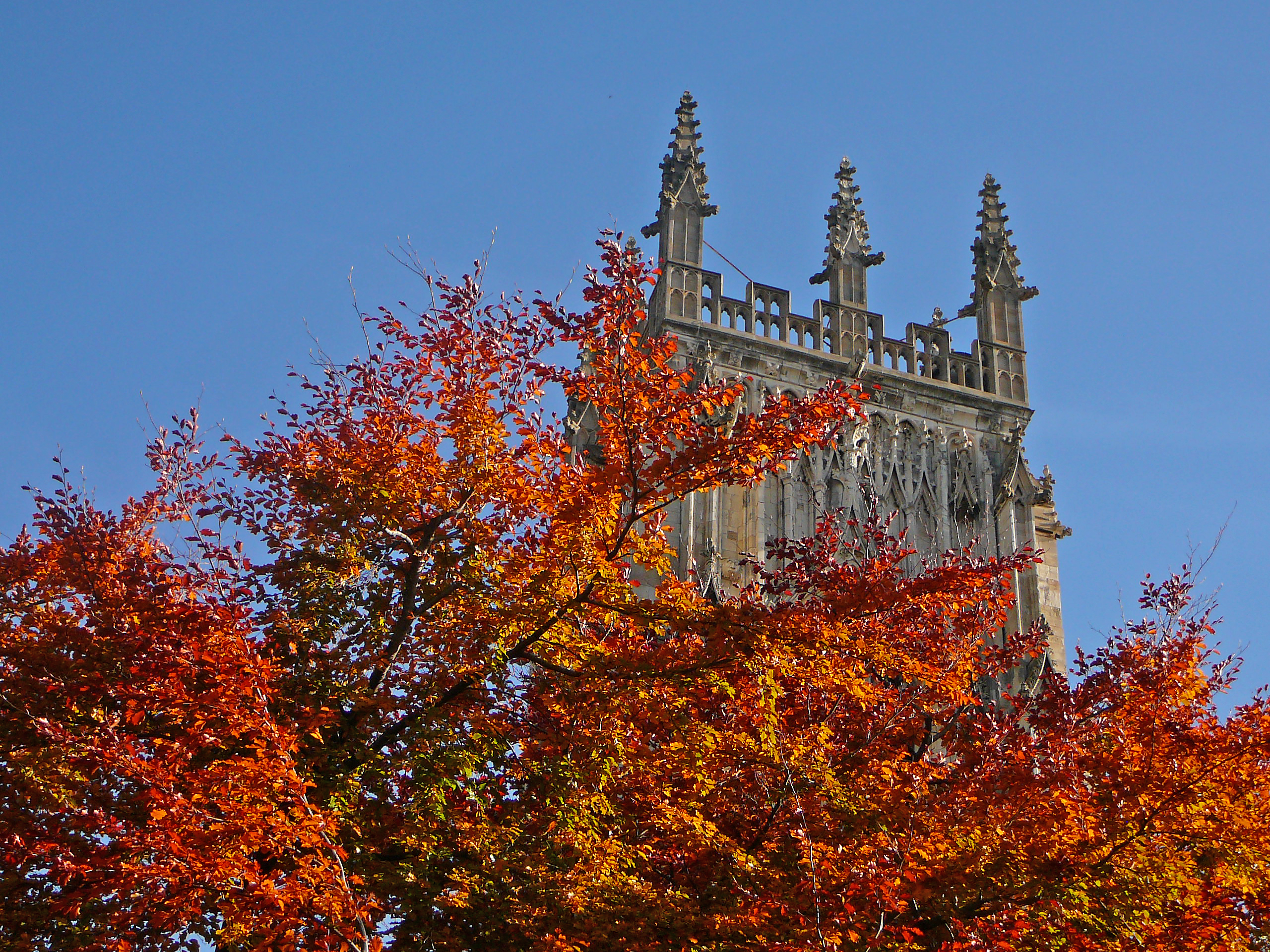 Things to do this October in York!
